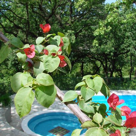 Poolside Apartments Miljan I Ranko Herceg Novi Extérieur photo