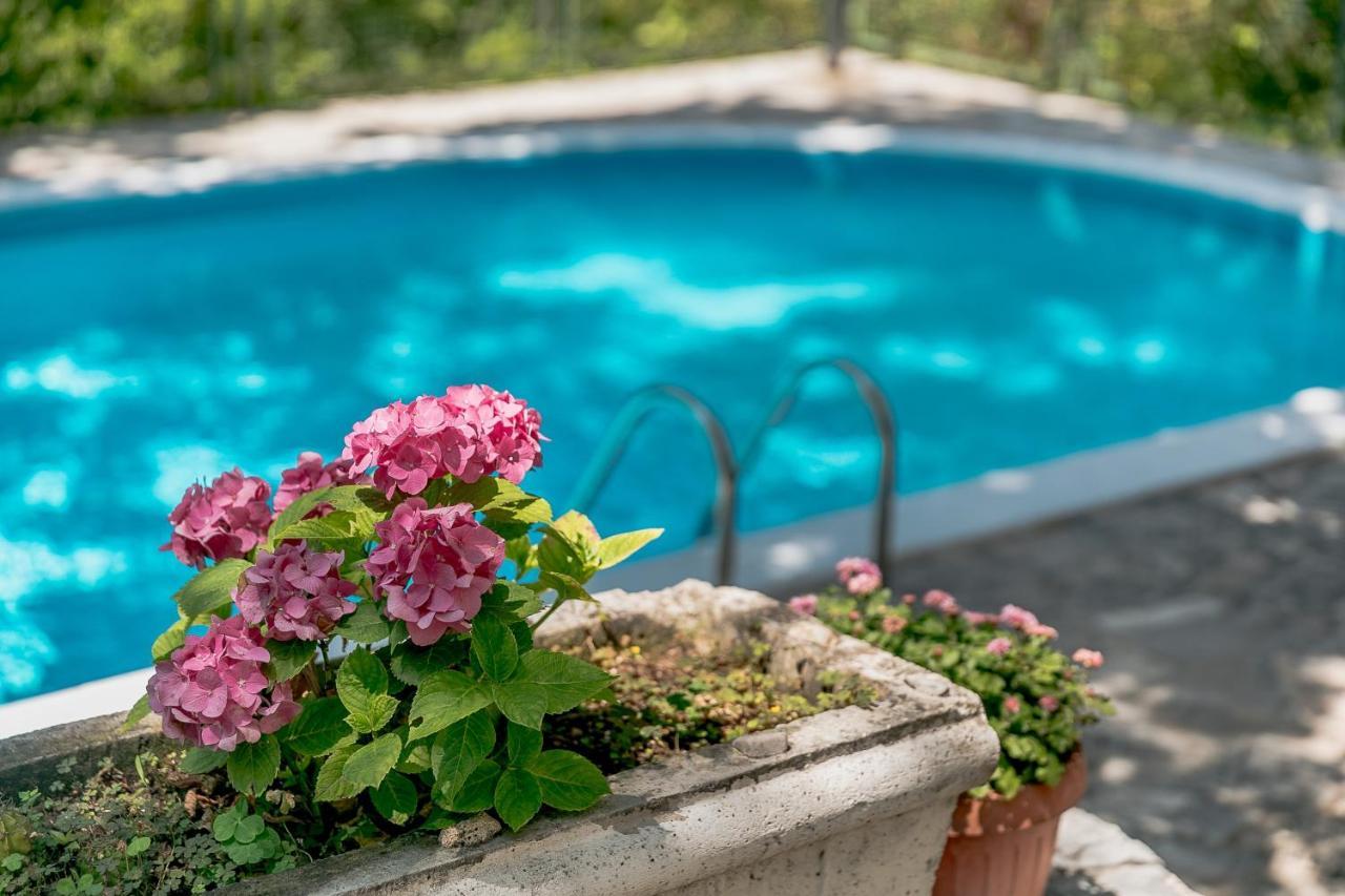 Poolside Apartments Miljan I Ranko Herceg Novi Extérieur photo