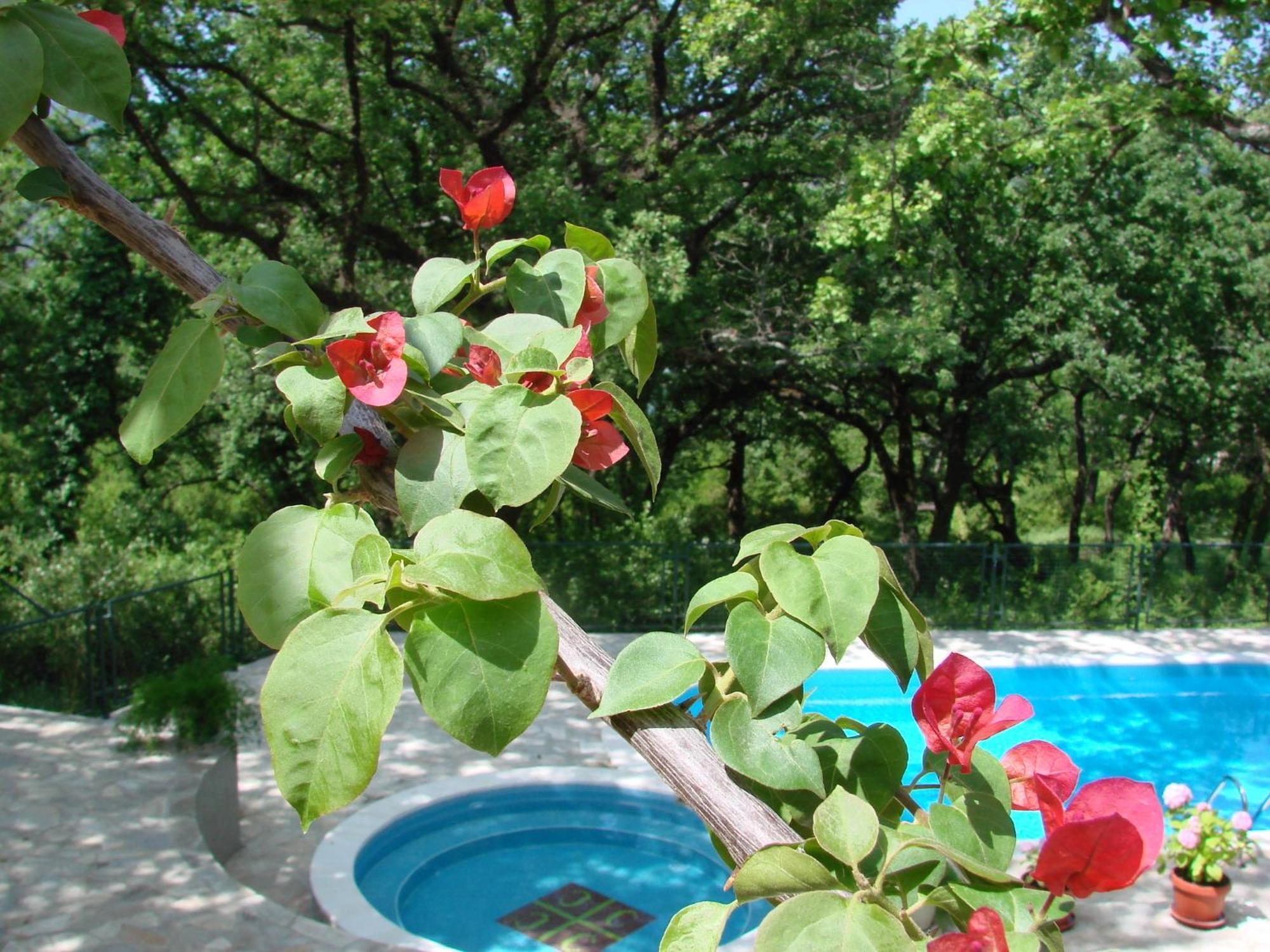 Poolside Apartments Miljan I Ranko Herceg Novi Extérieur photo
